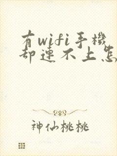 有wifi手机却连不上怎么回事