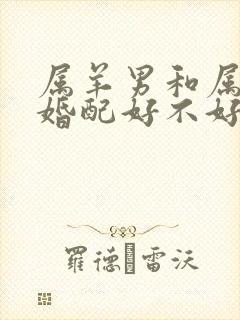 属羊男和属龙女婚配好不好封面