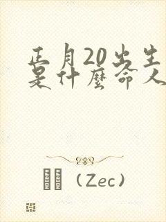 正月20出生的是什么命人