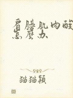 肩膀肌肉酸痛该怎么办