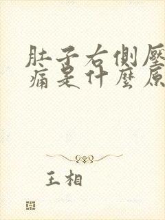 肚子右侧压下去痛是什么原因