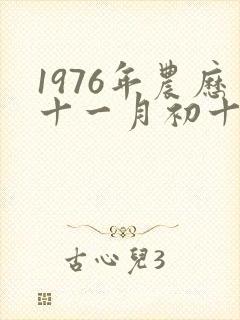 1976年农历十一月初十出生的人命运