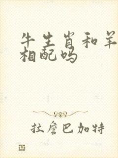 牛生肖和羊生肖相配吗