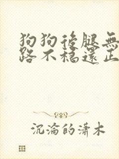 狗狗后腿无力走路不稳还正常吃东西