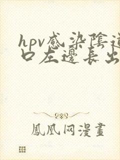 hpv感染阴道口左边长出长条淡粉色肉