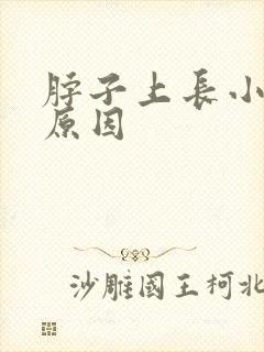 脖子上长小肉粒原因