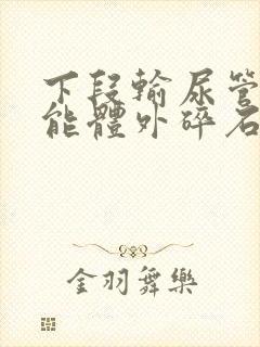 下段输尿管结石能体外碎石么