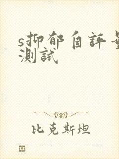 s抑郁自评量表测试