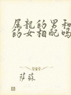 属龙的男和属兔的女相配吗