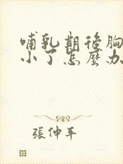 哺乳期后胸部变小了怎么办封面