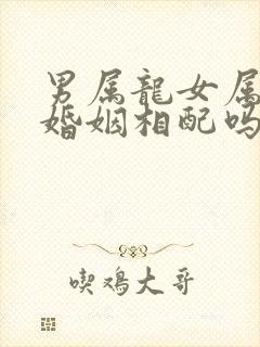 男属龙女属羊的婚姻相配吗