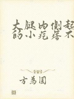 大腿内侧起红色的小疙瘩不痛不痒