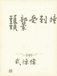 头部受到撞击后头晕封面