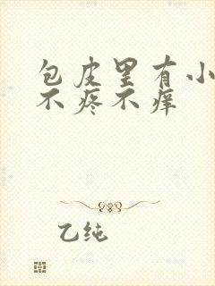 包皮里有小疙瘩不疼不痒封面