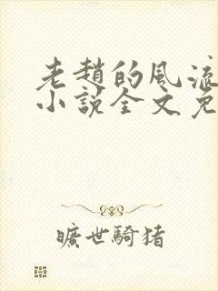 老赵的风流人生小说全文免费阅读