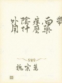 外阴痒,白带黄用什么药