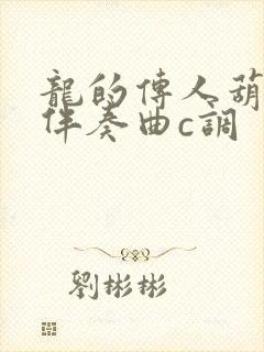 龙的传人葫芦丝伴奏曲c调封面