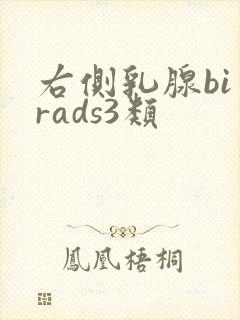右侧乳腺bi一rads3类封面