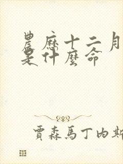 农历十二月初三是什么命