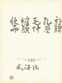 收缩毛孔补水的面膜什么牌子的比较好封面