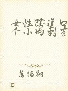 女性阴道口有一个小肉刺有点样