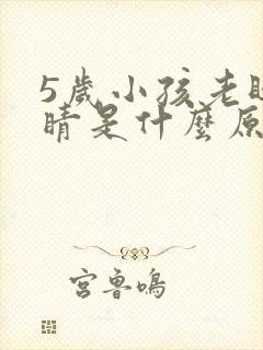 5岁小孩老眨眼睛是什么原因