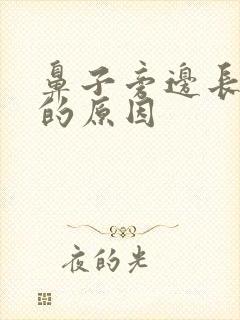 鼻子旁边长痤疮的原因