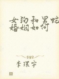 女狗和男蛇相配婚姻如何封面