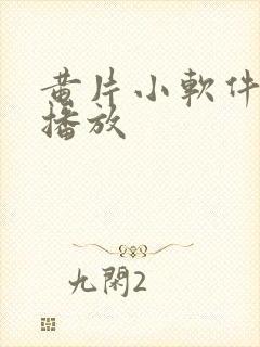 黄片小软件在线播放