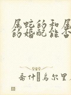 属蛇的和属大龙的婚配能否合适封面