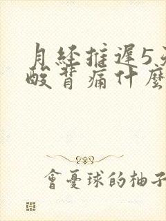 月经推迟5天腰酸背痛什么原因