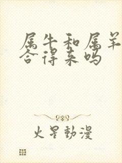 属牛和属羊的人合得来吗