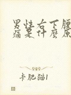 男性右下腹部疼痛是什么原因