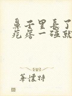 鼻子里长了一个疙瘩一碰就疼怎么回事