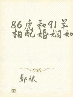 86虎和91羊相配婚姻如何