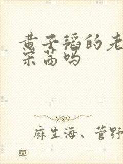 黄子韬的老婆是宋茜吗