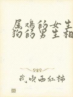 属鸡的女生和属狗的男生相配吗