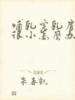 哺乳完乳房变的很小怎么办封面