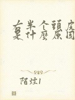 右半个头皮发麻是什么原因