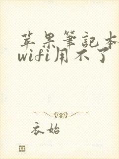 苹果笔记本连上wifi用不了