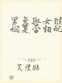 男兔与女猴的婚姻是否相配