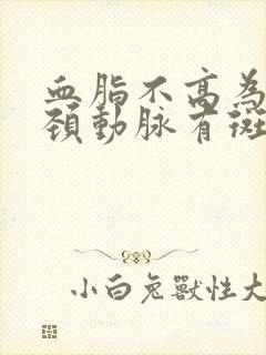 血脂不高为什么颈动脉有斑块封面