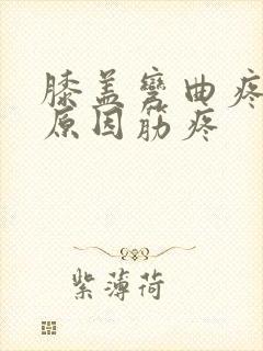 膝盖弯曲疼痛的原因筋疼