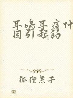 耳鸣耳痛什么原因引起的