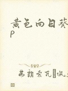 黄色向日葵app封面