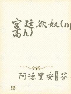 宫廷欲奴(np高h)