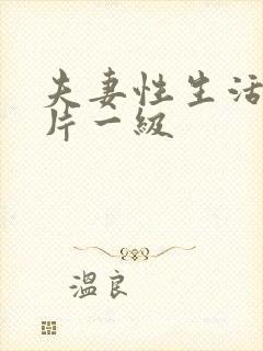 夫妻性生活黄色片一级