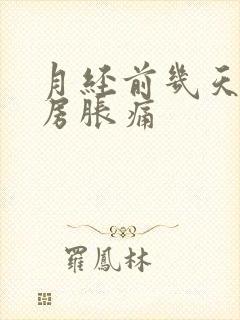 月经前几天会乳房胀痛封面