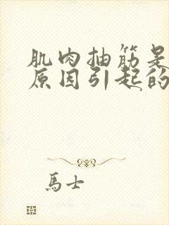 肌肉抽筋是什么原因引起的