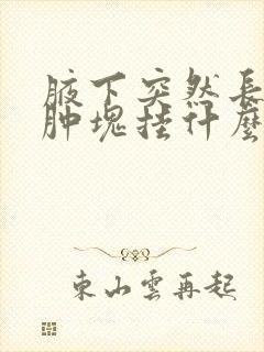 腋下突然长了个肿块挂什么科